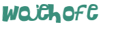 CAPTCHA 挑戰