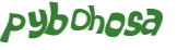 Captcha 챌린지