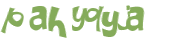 CAPTCHA 挑戰