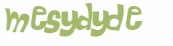 CAPTCHA 挑戰