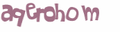CAPTCHA-haaste