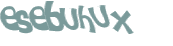 Captcha 챌린지