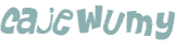 Wyzwanie captcha