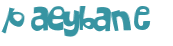 Wyzwanie captcha