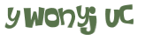 Wyzwanie captcha