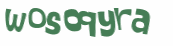 CAPTCHA 挑戰