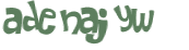 CAPTCHA 挑戰