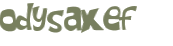 Captcha 챌린지