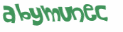 CAPTCHA 挑戰