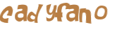Desafio Captcha
