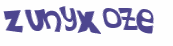CAPTCHA 挑戰