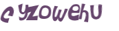 Captcha 챌린지