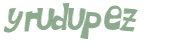 Captcha 챌린지