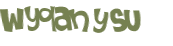 CAPTCHA 挑戰