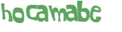 Desafio Captcha