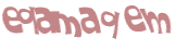 CAPTCHA 挑戰