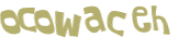 Wyzwanie captcha