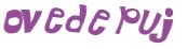 CAPTCHA 挑戰