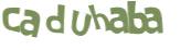 Captcha 챌린지
