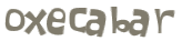 CAPTCHA 挑戰