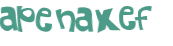 CAPTCHA 挑戰