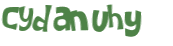 CAPTCHA 挑戰