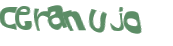 Captchafråga