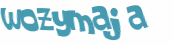 CAPTCHA 挑戰