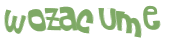 Wyzwanie captcha