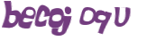 CAPTCHA 挑戰