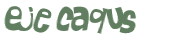Desafio captcha