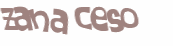CAPTCHA 挑戰