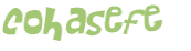 Captcha 챌린지