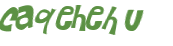 CAPTCHA 挑戰