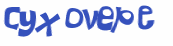 CAPTCHA 挑戰