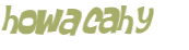 Captcha-test