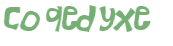 CAPTCHA 挑戰