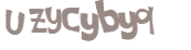 Wyzwanie captcha