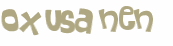 CAPTCHA 挑戰