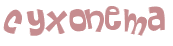 CAPTCHA 挑戰