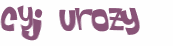 Captcha 챌린지