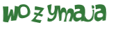 Captcha 챌린지