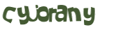 Desafio captcha