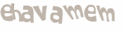 CAPTCHA 挑戰