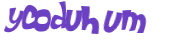 Captcha-Test