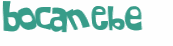 Captcha-Test
