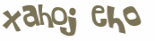 CAPTCHA 挑戰