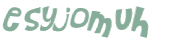 Captcha 챌린지