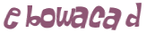 Wyzwanie captcha