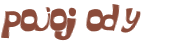 CAPTCHA 挑戰